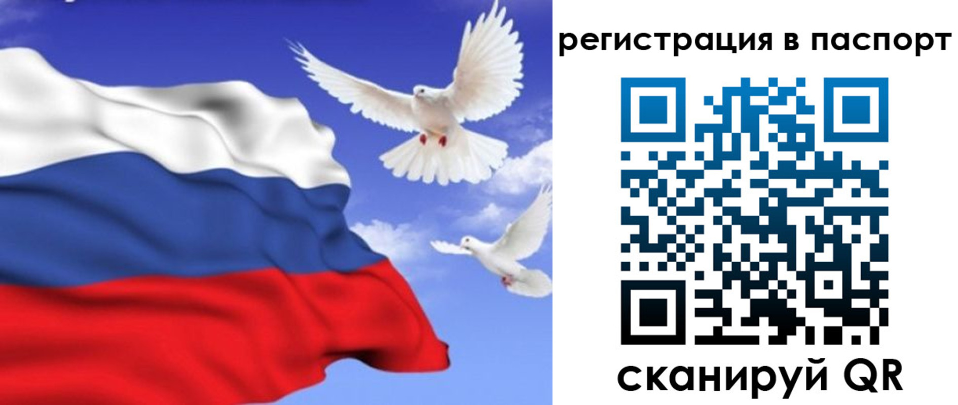 купить прописку в Ульяновской области